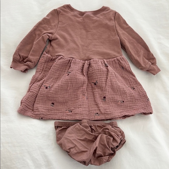 Carter's Mauve Floral Long Sleeve Dress with matching briefs Size 9M - Picture 3 of 3